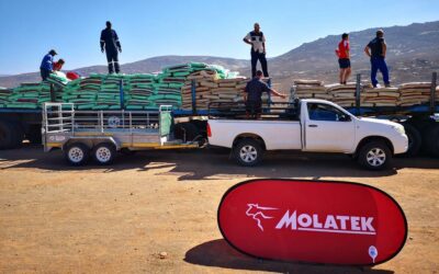 Molatek helps to save the sheep with drought relief