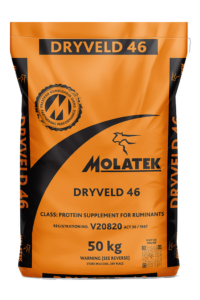 Molatek Dryveld 46